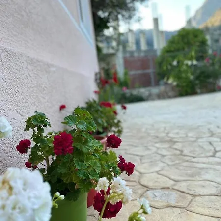 Cheerful 3-bedroom Private In Borsh! * Borsh