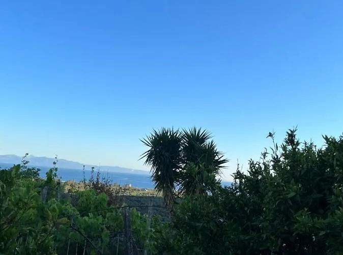 Noga Villa Borş