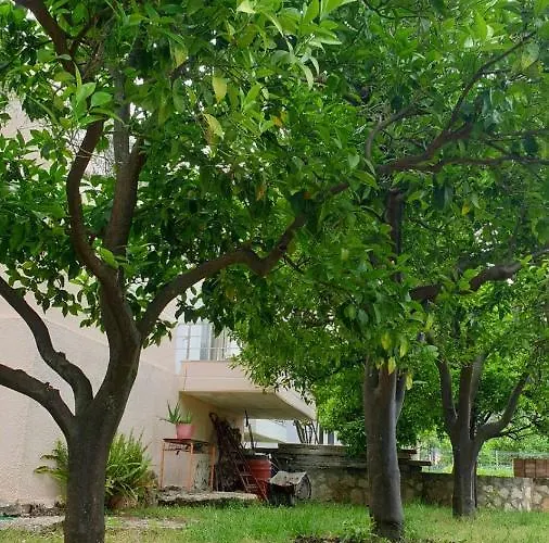 Villa Noga