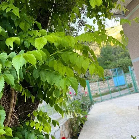 Villa Noga Borsh