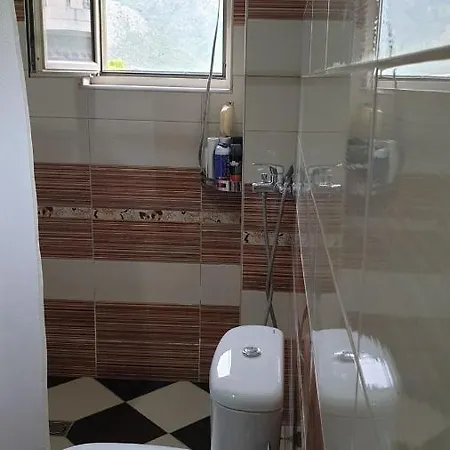 Noga Villa Borş