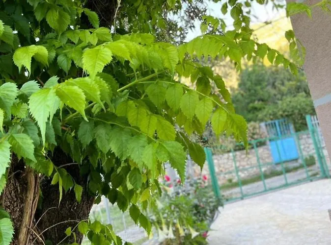 빌라 Noga 보르쉬
